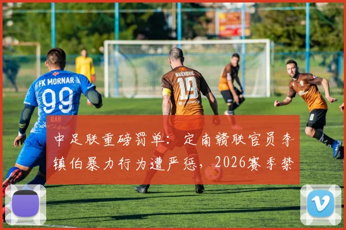 中足联重磅罚单：定南赣联官员李镇伯暴力行为遭严惩，2026赛季禁赛7个月并罚款11万元